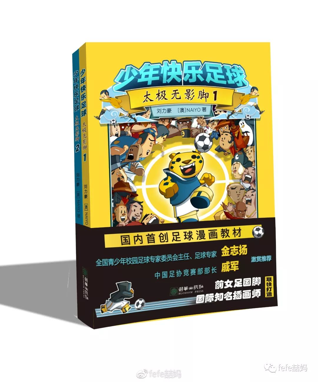 足球裁判书籍规则类型有哪些_足球裁判法规则_足球裁判及足球规则类书籍