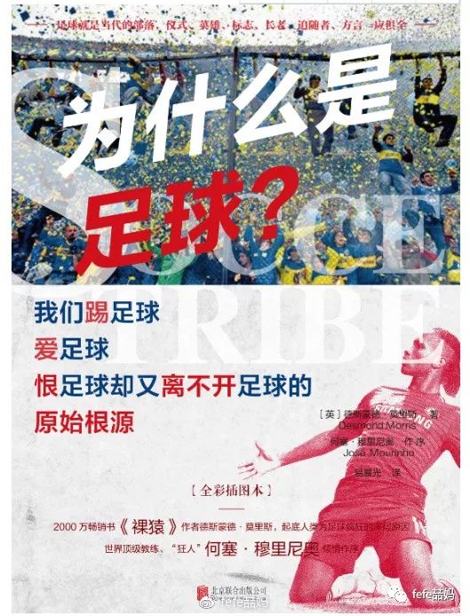 足球裁判及足球规则类书籍_足球裁判书籍规则类型有哪些_足球裁判法规则