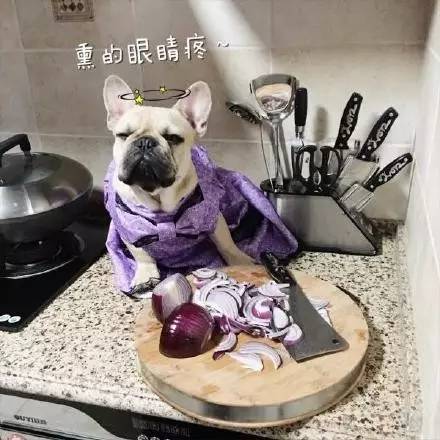 生活小常识土豆_土豆生活妙用_帮我搜索土豆的生活