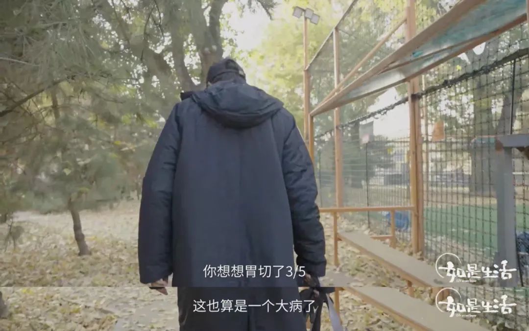 足球巴西历史中锋是谁_中锋巴西足球历史是第几_巴西足球队中锋