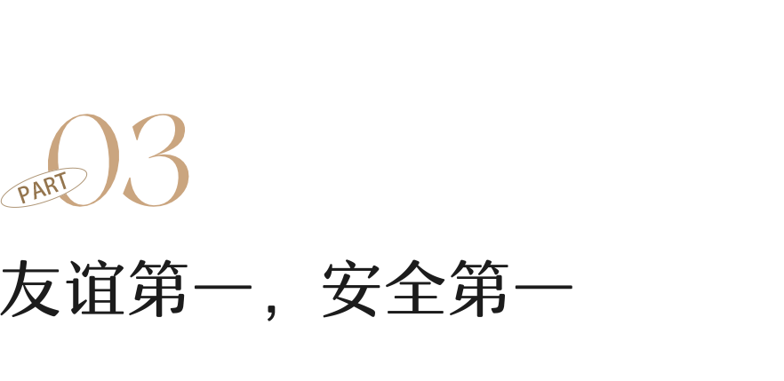 巴西足球队中锋_足球巴西历史中锋是谁_中锋巴西足球历史是第几