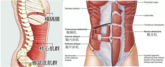 运动时吸氧的好处_运动氧气_有氧运动习惯
